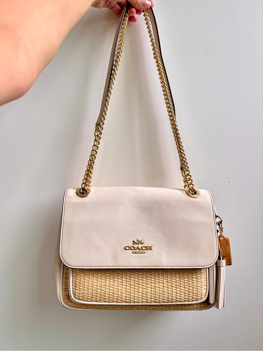 Coach klare purse